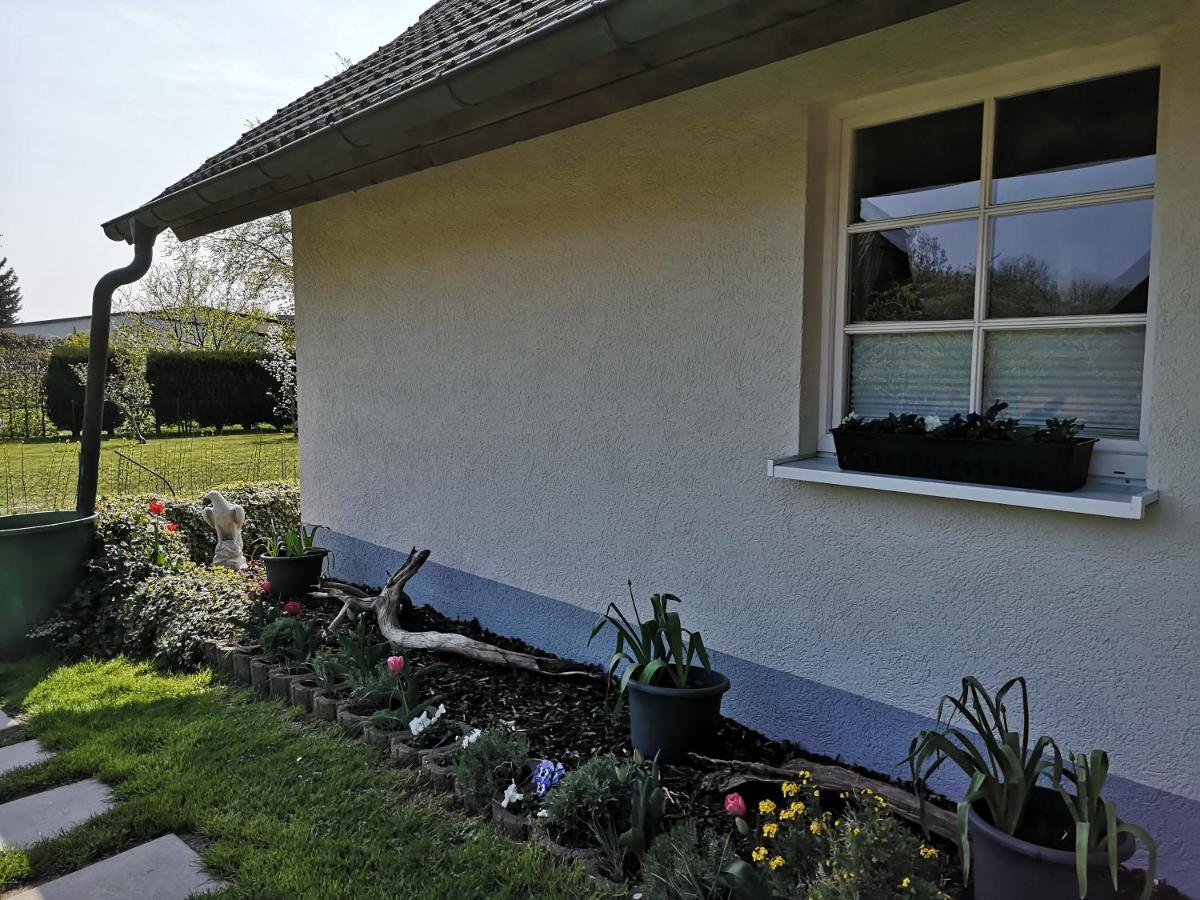 Boddenhus Auf Ruegen - Ferienwohnungen Und Pension Rappin Ngoại thất bức ảnh