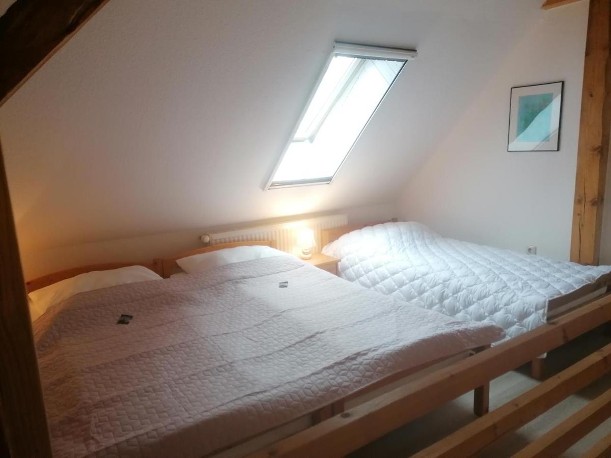 Boddenhus Auf Ruegen - Ferienwohnungen Und Pension Rappin Ngoại thất bức ảnh